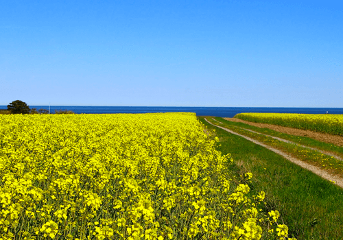 Skåne